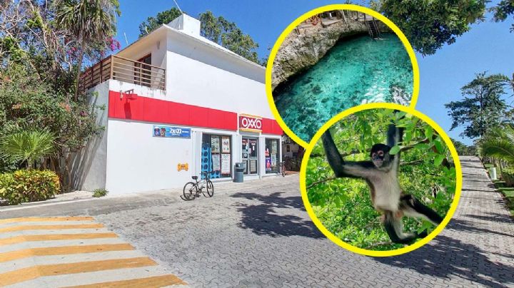 Oxxo con 'alberca' natural, cómo es y dónde se encuentra | VIDEO