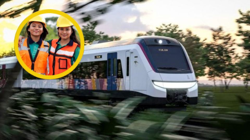 EL Conalep ofrecerá estas especialidades para la próxima llegada del Tren Maya