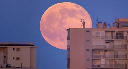 Super Luna Azul de agosto de 2023: ¿cuándo y cómo verla?