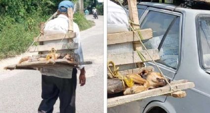 Abuelito demuestra su amor por su mascota luego de llevarla a esterilizar