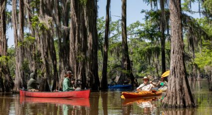 HEB estrena docuserie sobre parques y vida silvestre de Texas; ¿dónde verla?