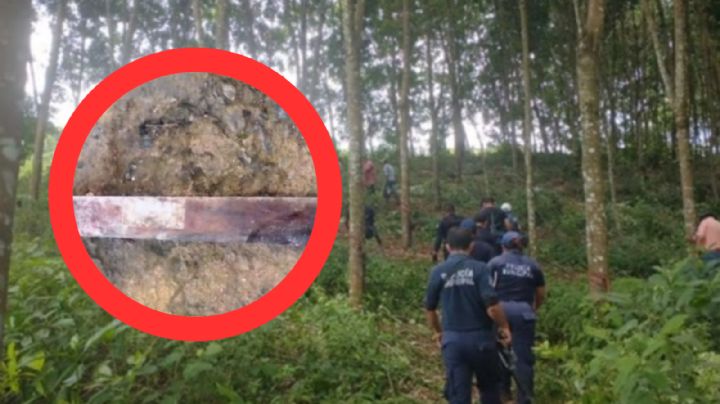 Asesinan a machetazos a tres hermanos en Veracruz