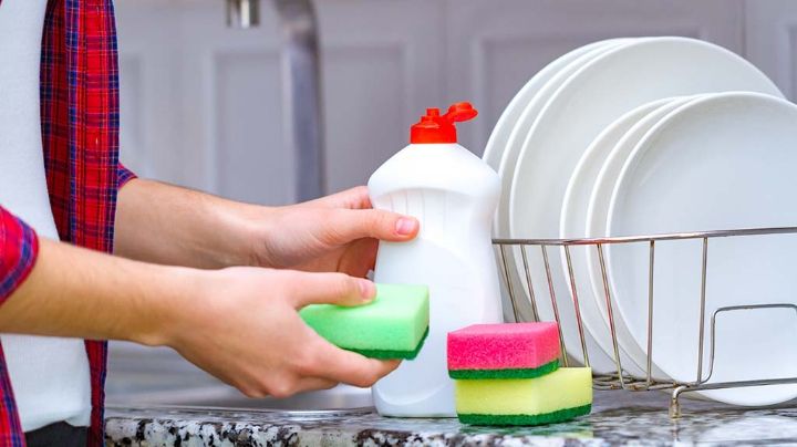 Estos son los mejores detergentes para lavar trastes, según Profeco