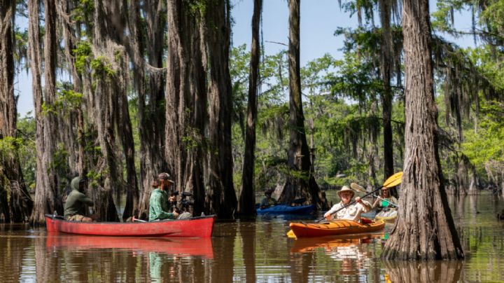 HEB estrena docuserie sobre parques y vida silvestre de Texas; ¿dónde verla?