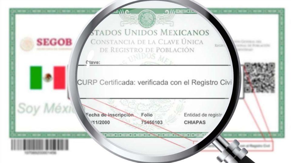 Como tramitar la CURP y el acta de nacimiento certificada