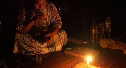 ¿Qué es la ayahuasca?; aquí te decimos cuáles son sus efectos y usos