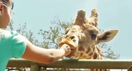 El Bioparque Estrella en Montemorelos, es una visita obligada en vacaciones