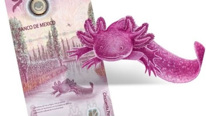 ¿Banxico te puede multar por vender más caras tus monedas y billetes conmemorativos?