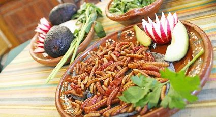 Beneficios a la salud que aportan los gusanos de maguey al organismo