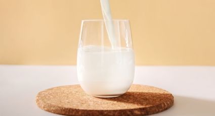 Profeco: esta es la mejor leche light que hay en el mercado
