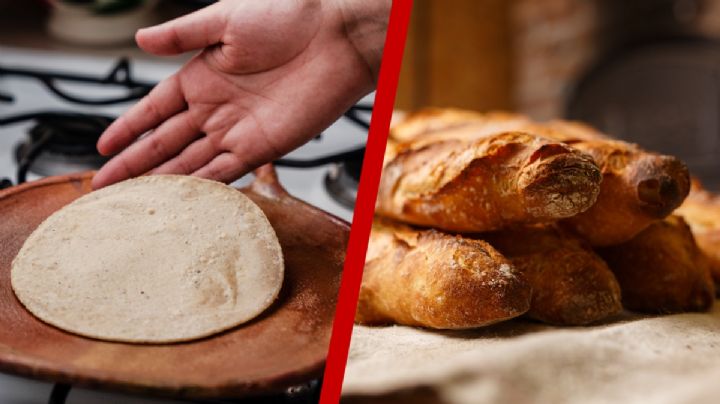 Pan, tortilla de harina o de maíz, ¿cuál es más sano?
