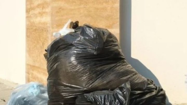 No dejes que las cucarachas se metan al bote de basura; te damos algunos consejos