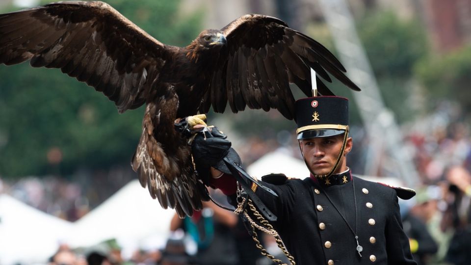 Desfile militar