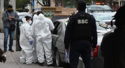 Familia y sus dos perros mueren intoxicados en playa de Sonora