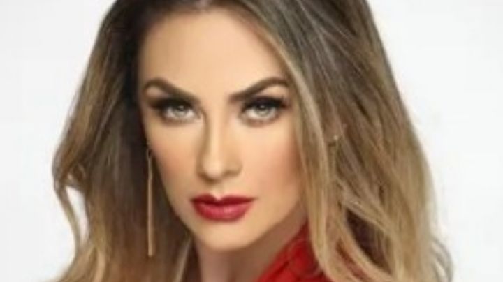 ¿Luis Miguel no da ni 300 pesos? Es un deudor alimentario, me cae mal: Aracely Arámbula