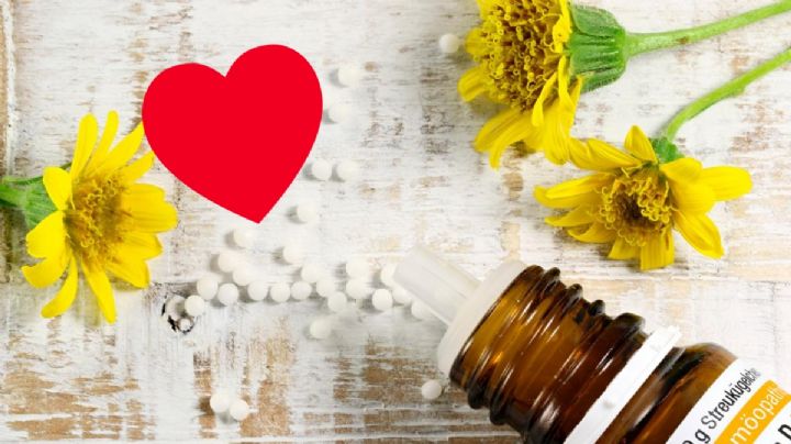 Esta planta te ayudará a cuidar tu corazón; es de fácil obtención