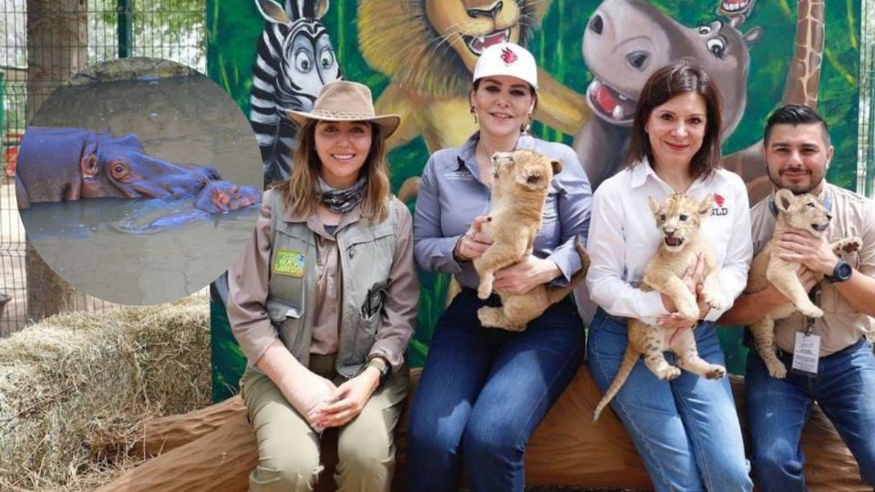 Alcaldesa y autoridades del Zoológico y Acuario de Nuevo Laredo