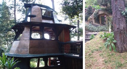 Así es la insólita casa de Jaime Maussan rodeada de un bosque que él mismo creó | VIDEO