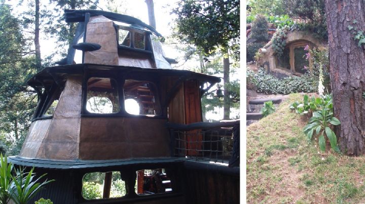 Así es la insólita casa de Jaime Maussan rodeada de un bosque que él mismo creó | VIDEO