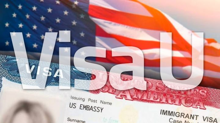 Visa U, para poder vivir y trabajar legalmente en Estados Unidos; estos son los requisitos