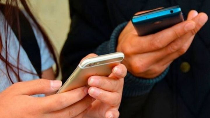 Internet gratis de la CFE, ¿cuáles teléfonos pueden usar el chip con el servicio?