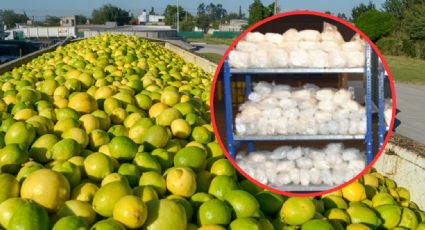 Incautan casi 400 kilos de metanfetaminas en el Puente 3 en remolque de limas