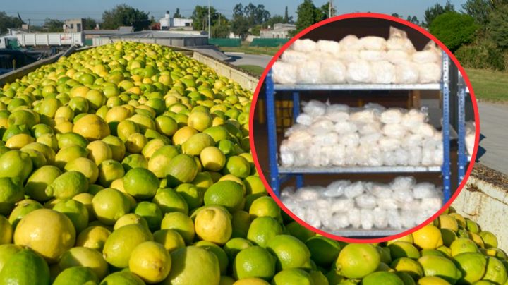 Incautan casi 400 kilos de metanfetaminas en el Puente 3 en remolque de limas