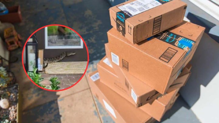 Víbora de cascabel muerde a repartidora de Amazon luego de entregar el paquete