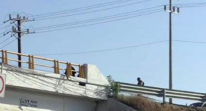 Hallan hielera con restos humanos en Ciénega de Flores