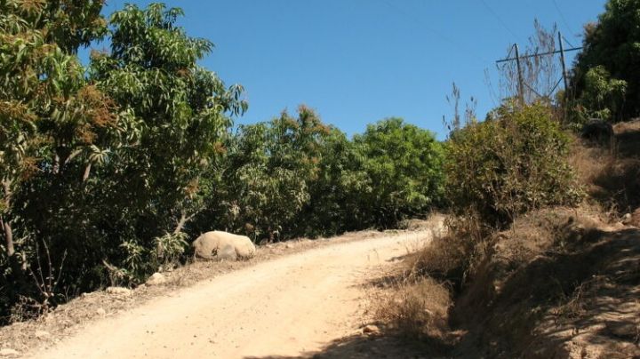 Captan momento de ejecución de mujer en Sabinas Hidalgo
