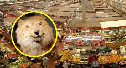 Mercado en México donde encuentras carnes exóticas por kilos