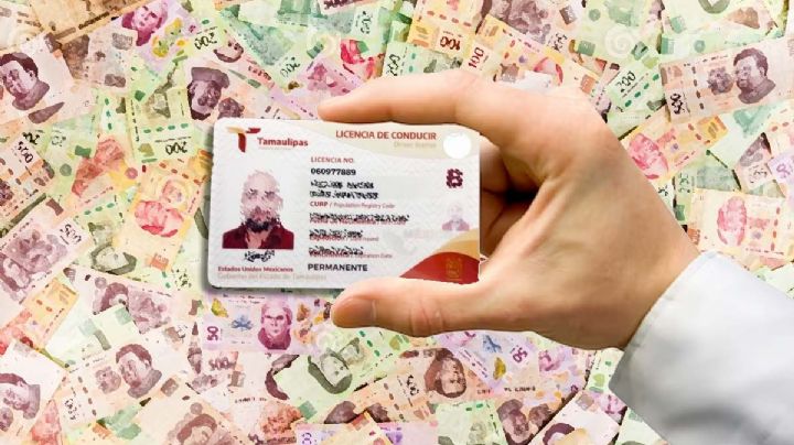 Licencia permanente de Tamaulipas; costos del trámite en octubre