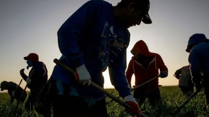 Si cometes esta falta con tu visa americana no podrás entrar a EU por 10 años