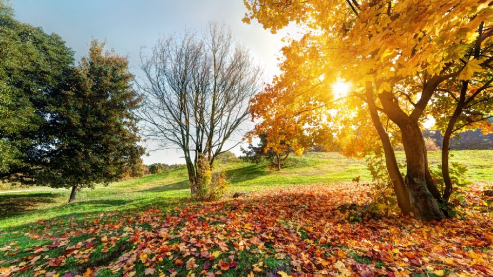 Pronto ocurrirá el equinoccio de otoño 2023 en México