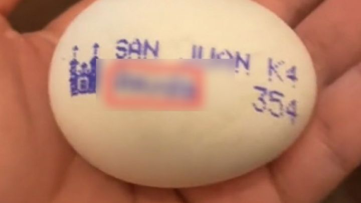 Encuentran huevo San Juan con perturbador mensaje | VIDEO