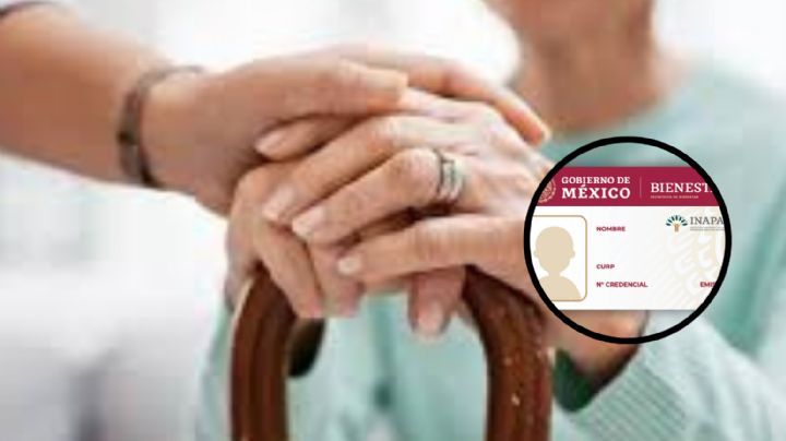 Tarjeta INAPAM: revisa estos 5 descuentos que tendrás en enero de 2024