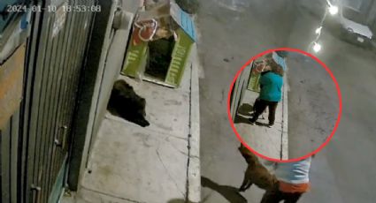 Captan momento en el que dos mujeres maltratan a un perro en Iztapalapa | VIDEO