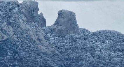 Estos municipios de Tamaulipas y la región se llenaron de nieve