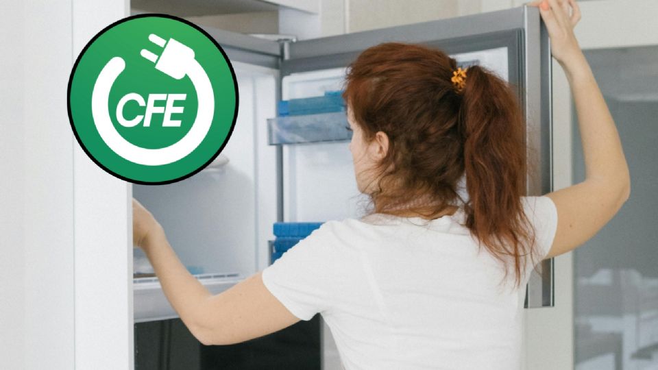 ¿Necesitas un refri nuevo? La CFE te puede apoyar de este modo