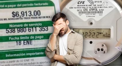 CFE: ¿recibo de luz 'caro'?, podría haber un error, así lo puedes reportar