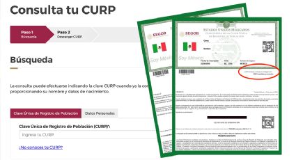 CURP Certificada, ¿cómo se descarga el documento oficial gratis?