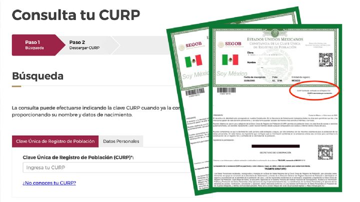 CURP Certificada, ¿cómo se descarga el documento oficial gratis?