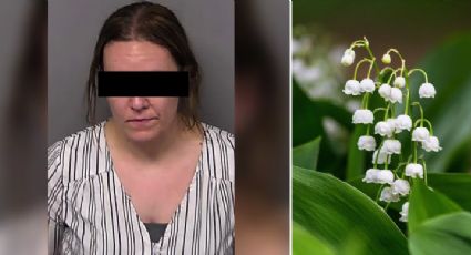 Mujer envenena a su esposo con una planta mortal en su licuado; él descubrió su infidelidad