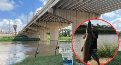 Cinco peces que son tesoros en el Río Bravo para los pescadores