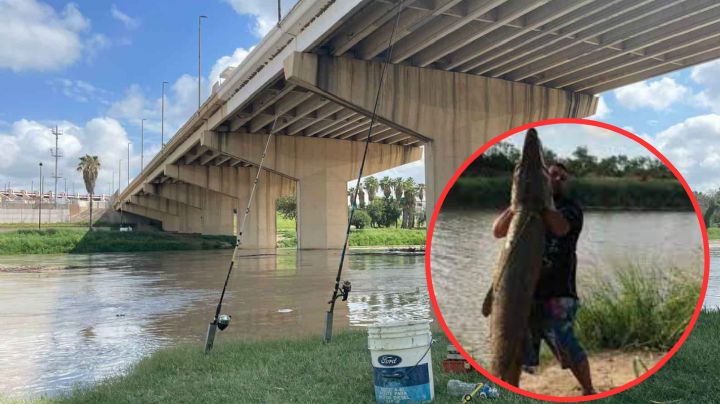 Cinco peces que son tesoros en el Río Bravo para los pescadores