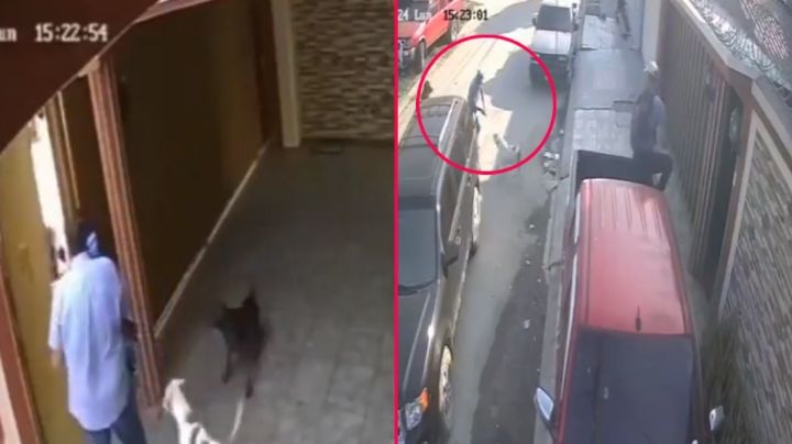 Perro salva a su dueño de un asalto; lo amagaron justo al entrar a su casa | VIDEO