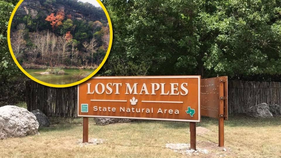 Los amantes de la naturaleza y los lugares tranquilos disfrutarán de este entorno conectado con el bosque