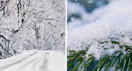 Frente Frío 32 y quinta tormenta invernal 'congelarán' con -10 grados estos estados