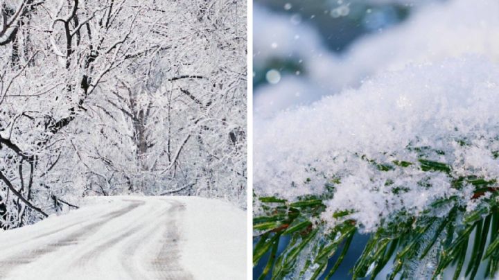 Frente Frío 32 y quinta tormenta invernal 'congelarán' con -10 grados estos estados