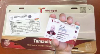 Oficina Fiscal de Tamaulipas 2024: precios de engomados con licencia y sin licencia vigente